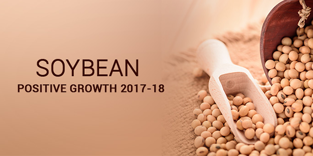 soyabean-positive-growth