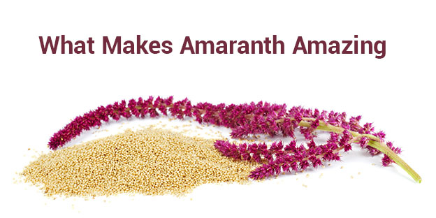 Organic amaranth manufacturer in India - Organic Products India