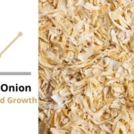 Dehydrated Onion Market Trend and Growth